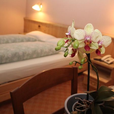 Albergo Caravasc 利维尼奥 外观 照片